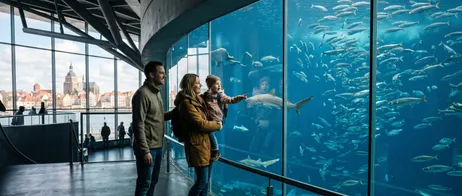 Ozeaneum Stralsund: Marine Worlds from Sand Flea to Blue Whale