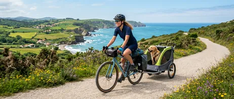 Short breaks with your dog: travel relaxed and enjoy time together