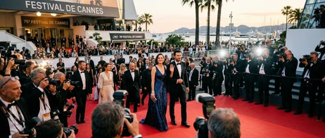 Vivre et apprécier le Festival de Cannes