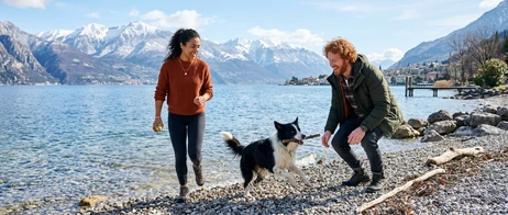 Ferienhausurlaub mit Hund am Gardasee genießen Ferienhausurlaub mit Hund am Gardasee genießen
