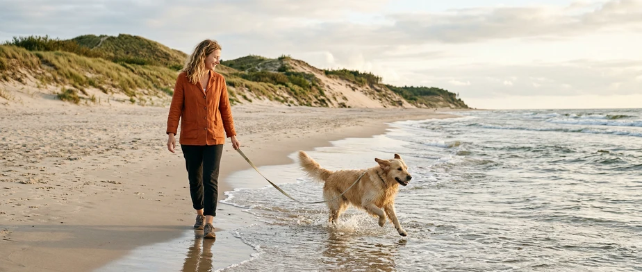 Belle-Île : découvrir une île atlantique au charme singulier