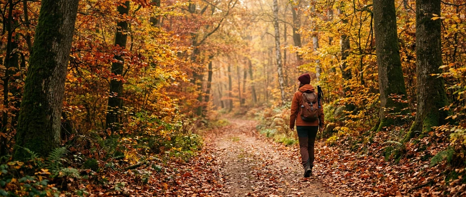 Autumn hikes in the Ardennes: Experience the colours with all your senses