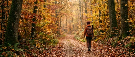 Autumn hikes in the Ardennes: Experience the colours with all your senses