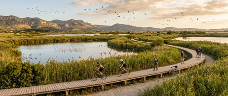 Observar aves en el Parque Natural de S’Albufera en Mallorca