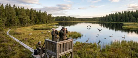 Nature reserves and birdwatching around Småland Nature reserves and birdwatching around Småland