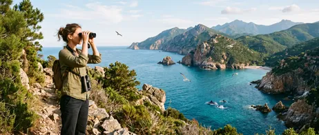 Birdwatching and Marine Wildlife around Corsica