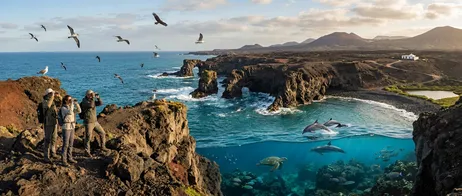 Birdwatching and Marine Wildlife on Lanzarote