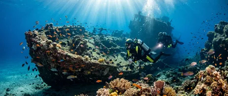 Vivir los pecios frente a Tenerife al bucear Vivir los pecios frente a Tenerife al bucear