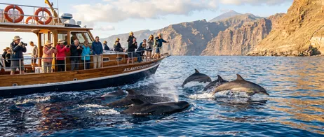 Whale Watching in Tenerife with Wow Moments