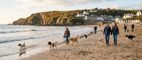 Dog-friendly beaches in Great Britain Dog-friendly beaches in Great Britain