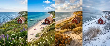 Experiencing the Baltic Sea Through the Changing Seasons