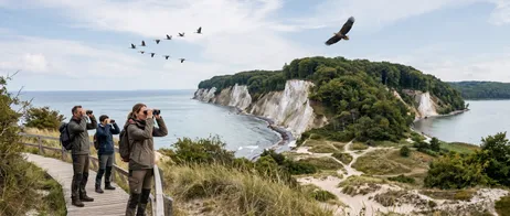 Nationalparks und Naturschutzgebiete an der Ostsee entdecken