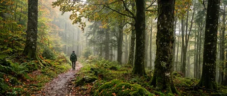 Senderismo con amplias vistas en el bosque de Irati