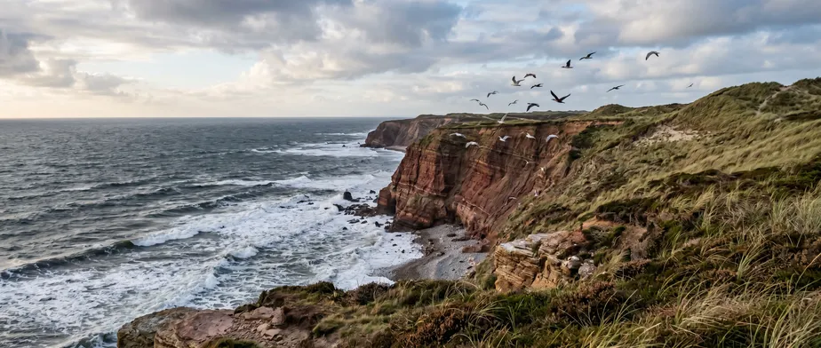 Discover Sylt’s Natural Highlights on Scenic Trips Discover Sylt’s Natural Highlights on Scenic Trips