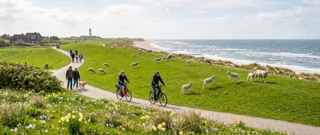 Frühling auf Syllt