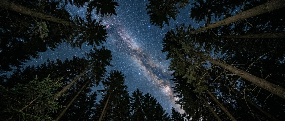 Magical Starry-Sky Moments in a Black Forest Holiday Home