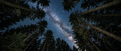 Magical Starry-Sky Moments in a Black Forest Holiday Home
