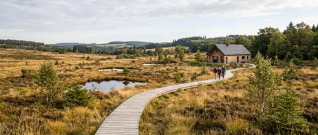 High Fens: Discover Belgium’s Upland Bog Landscape