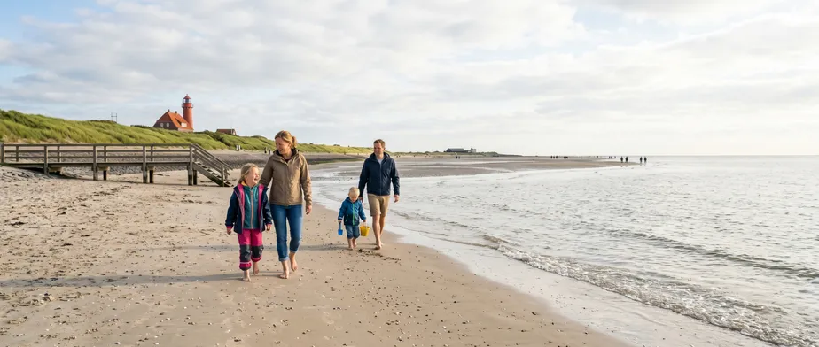 Oplev spættet sæl og gråsæl i Friedrichskoog