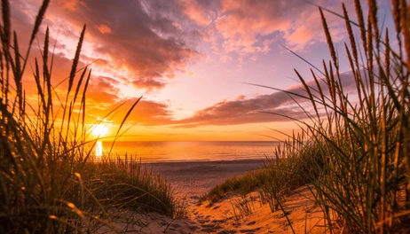Ferienhaus in Vejers Strand: eine Auszeit in Dänemark genießen