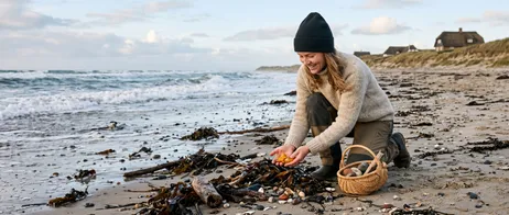 Amber on the North Sea and Baltic Sea: golden treasure on the shore
