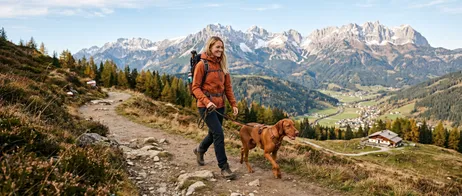 Planning Safe and Relaxed Mountain Hikes With Your Dog