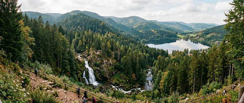 Discover What Makes the Black Forest So Special