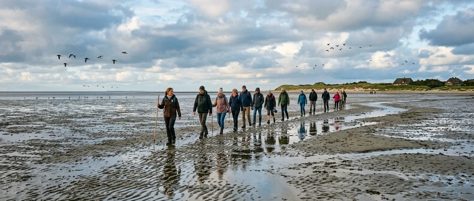 Mudflat Hikes on Sylt: Experiencing Nature on the North Sea Coast