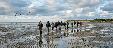 Wattwanderungen auf Sylt: Naturgenuss an der Nordseeküste Wattwanderungen auf Sylt: Naturgenuss an der Nordseeküste