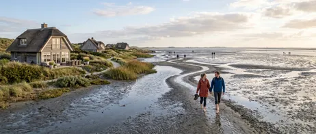 Experience the Wadden Sea on Texel up close