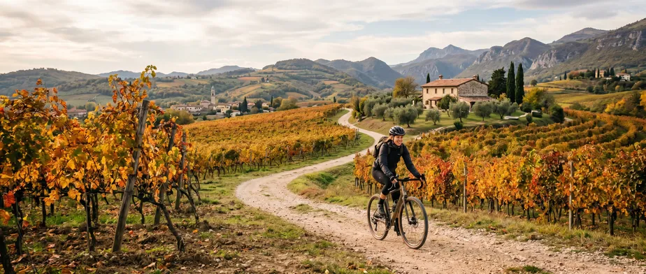 Tour in bicicletta in Valpolicella in autunno: consigli per il viaggio