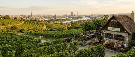 Urlaub in den Wiener Weinbergen: Genuss & Natur erleben
