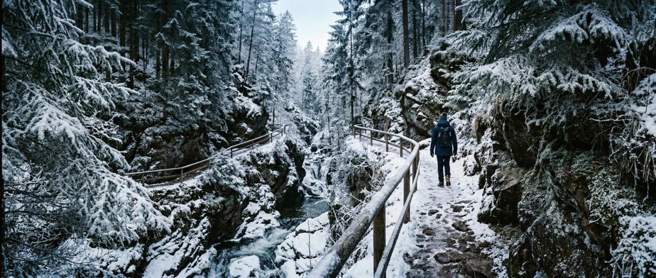 Via Ferratas in the Black Forest: Routes and Tips